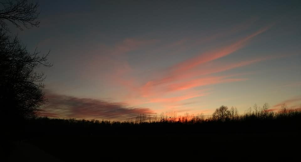 Lasek Marceliński w Poznaniu | Velo