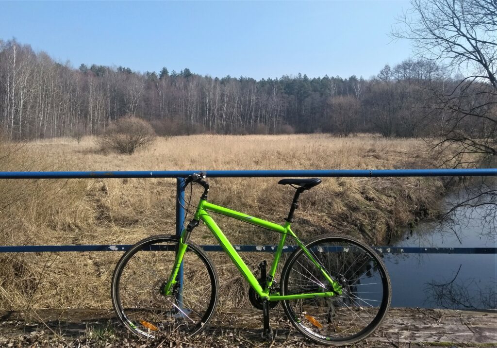 aktywność fizyczna w czasach pandemii