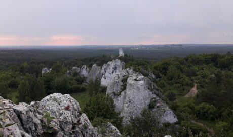 skałki rzędkowickie - mały mur, płetwa