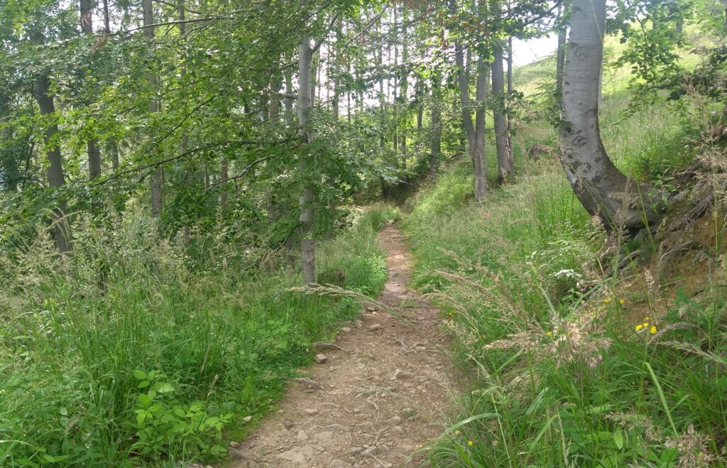 Przełęcz Przegibek - Rycerka Górna 