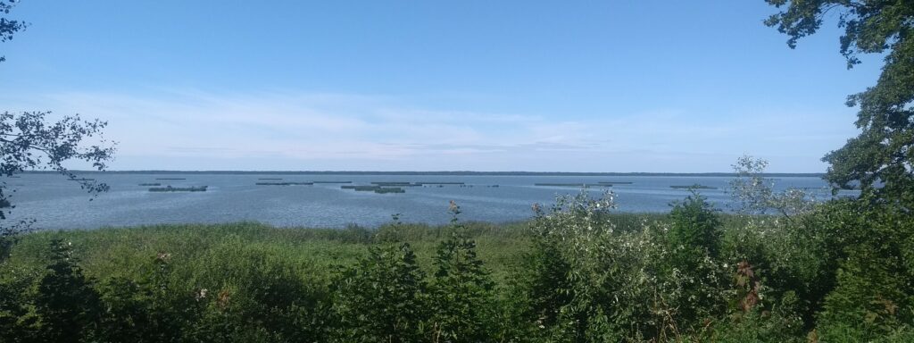 Jezioro Gardno Retowo