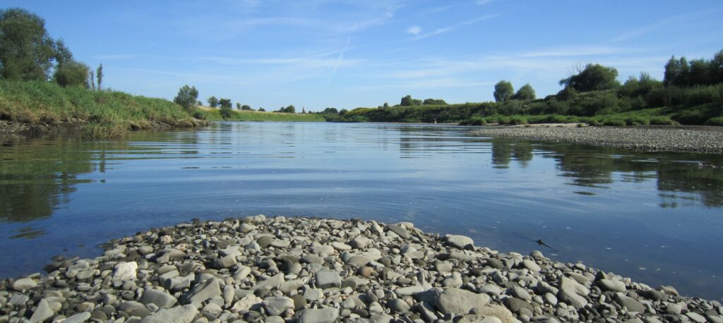 Widok z poziomu Wisły