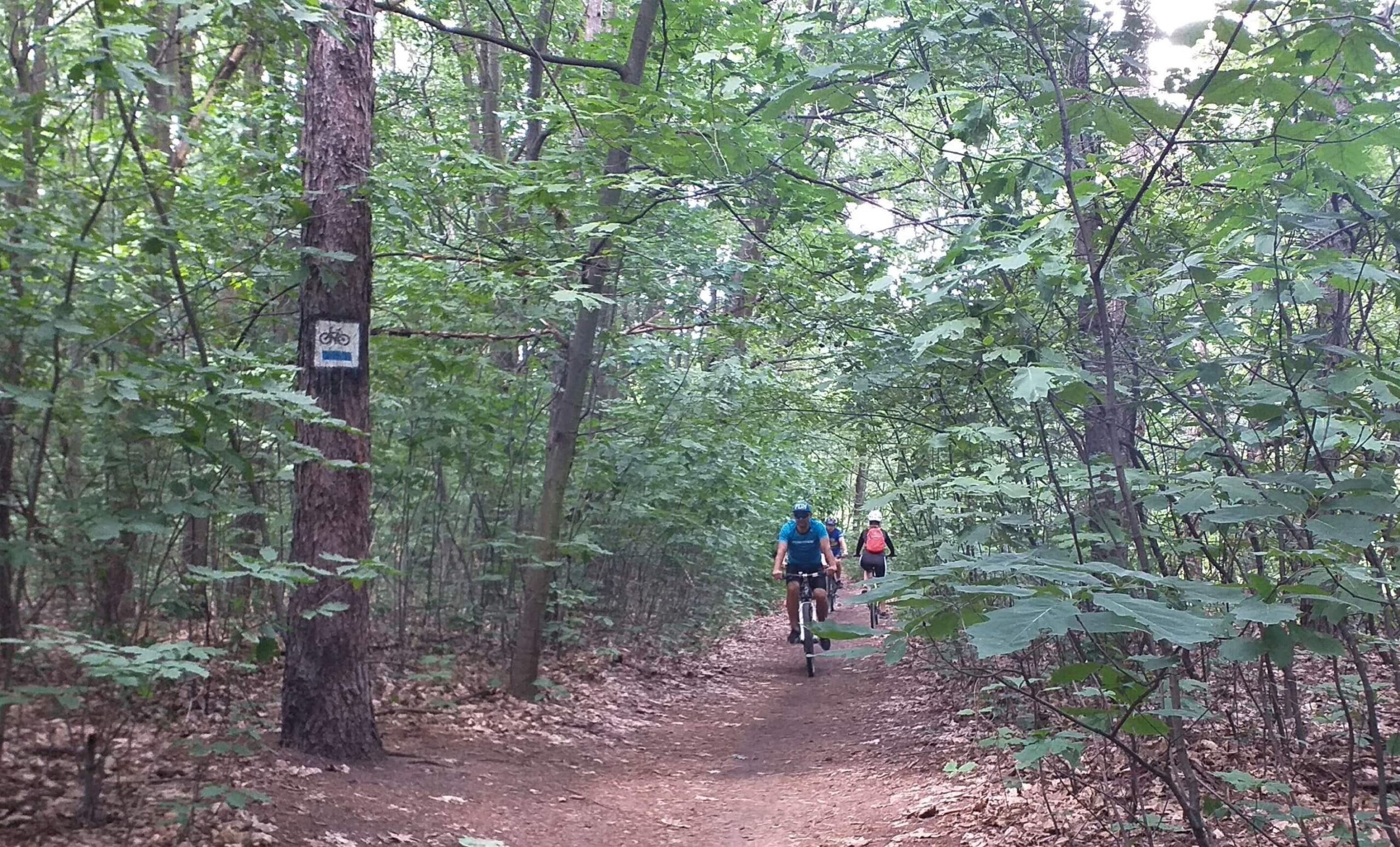 Trasy rowerowe - Rybnik z perspektywy leśnej