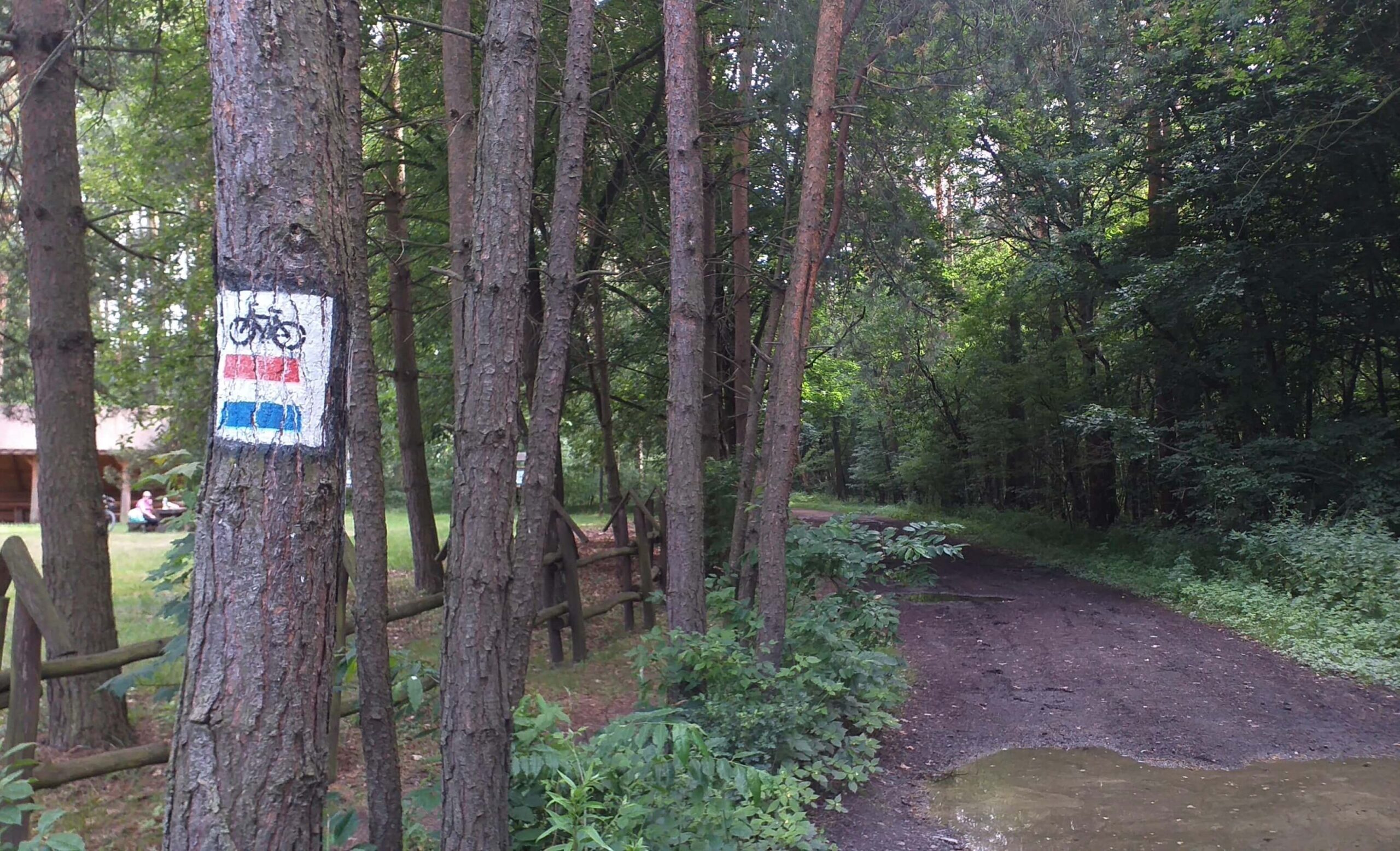 Trasy rowerowe Rybnik - jak wygląda oznakowanie tras?